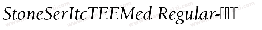 StoneSerItcTEEMed Regular字体转换